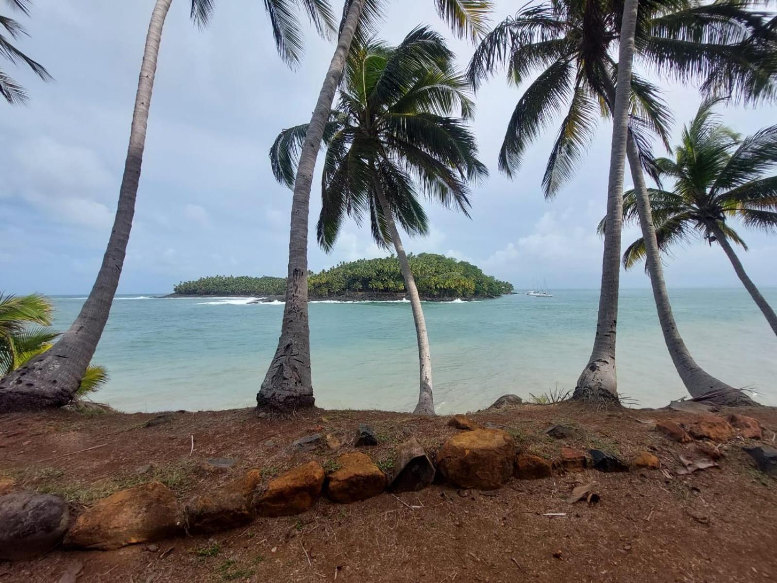 Magnifique T3 Apartment Cayenne Luaran gambar